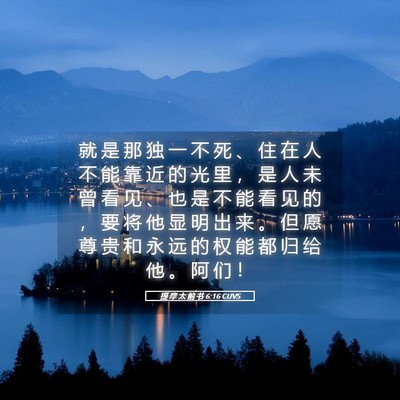 Picture 05 - 提 摩 太 前 书 6:16 CUVS - 就 是 那 独 一 不 死 、 住 在 人 不 - Bible Verse Picture