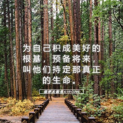 Picture 05 - 提 摩 太 前 书 6:19 CUVS - 为 自 己 积 成 美 好 的 根 基 ， 预 - Bible Verse Picture