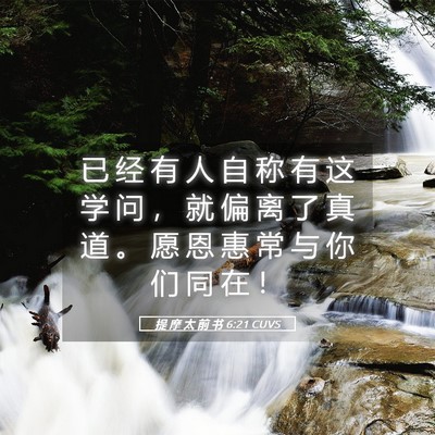 Picture 05 - 提 摩 太 前 书 6:21 CUVS - 已 经 有 人 自 称 有 这 学 问 ， 就 - Bible Verse Picture