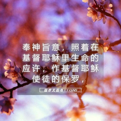 Picture 05 - 提 摩 太 后 书 1:1 CUVS - 奉 神 旨 意 ， 照 着 在 基 督 耶 稣 - Bible Verse Picture