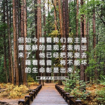 Picture 05 - 提 摩 太 后 书 1:10 CUVS - 但 如 今 藉 着 我 们 救 主 基 督 耶 - Bible Verse Picture