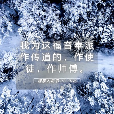 Picture 05 - 提 摩 太 后 书 1:11 CUVS - 我 为 这 福 音 奉 派 作 传 道 的 ， - Bible Verse Picture