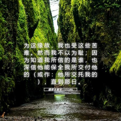 Picture 05 - 提 摩 太 后 书 1:12 CUVS - 为 这 缘 故 ， 我 也 受 这 些 苦 难 - Bible Verse Picture