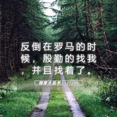 Picture 05 - 提 摩 太 后 书 1:17 CUVS - 反 倒 在 罗 马 的 时 候 ， 殷 勤 的 - Bible Verse Picture