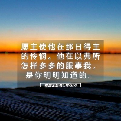 Picture 05 - 提 摩 太 后 书 1:18 CUVS - 愿 主 使 他 在 那 日 得 主 的 怜 悯 - Bible Verse Picture