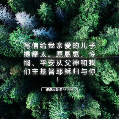 Picture 05 - 提 摩 太 后 书 1:2 CUVS - 写 信 给 我 亲 爱 的 儿 子 提 摩 太 - Bible Verse Picture