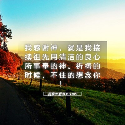 Picture 05 - 提 摩 太 后 书 1:3 CUVS - 我 感 谢 神 ， 就 是 我 接 续 祖 先 - Bible Verse Picture