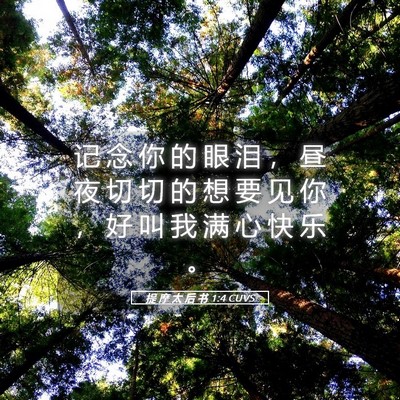Picture 05 - 提 摩 太 后 书 1:4 CUVS - 记 念 你 的 眼 泪 ， 昼 夜 切 切 的 - Bible Verse Picture