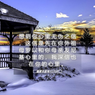 Picture 05 - 提 摩 太 后 书 1:5 CUVS - 想 到 你 心 里 无 伪 之 信 ， 这 信 - Bible Verse Picture