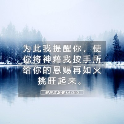 Picture 05 - 提 摩 太 后 书 1:6 CUVS - 为 此 我 提 醒 你 ， 使 你 将 神 藉 - Bible Verse Picture