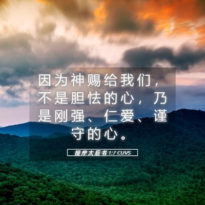 Picture 05 - 提 摩 太 后 书 1:7 CUVS - 因 为 神 赐 给 我 们 ， 不 是 胆 怯 - Bible Verse Picture
