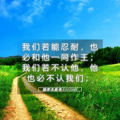 Picture 05 - 提 摩 太 后 书 2:12 CUVS - 我 们 若 能 忍 耐 ， 也 必 和 他 一 - Bible Verse Picture