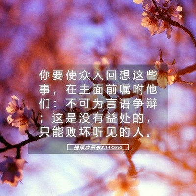 Picture 05 - 提 摩 太 后 书 2:14 CUVS - 你 要 使 众 人 回 想 这 些 事 ， 在 - Bible Verse Picture