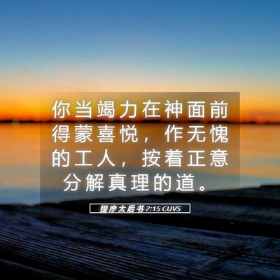 Picture 05 - 提 摩 太 后 书 2:15 CUVS - 你 当 竭 力 在 神 面 前 得 蒙 喜 悦 - Bible Verse Picture