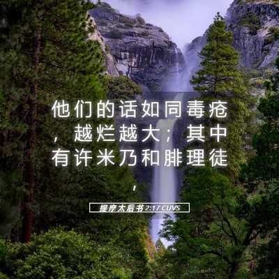Picture 05 - 提 摩 太 后 书 2:17 CUVS - 他 们 的 话 如 同 毒 疮 ， 越 烂 越 - Bible Verse Picture