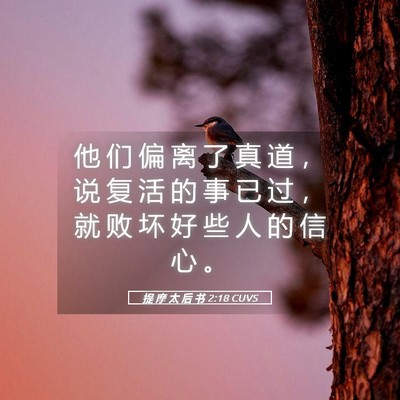 Picture 05 - 提 摩 太 后 书 2:18 CUVS - 他 们 偏 离 了 真 道 ， 说 复 活 的 - Bible Verse Picture