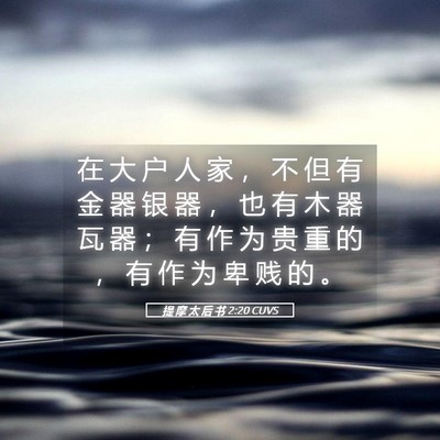 Picture 05 - 提 摩 太 后 书 2:20 CUVS - 在 大 户 人 家 ， 不 但 有 金 器 银 - Bible Verse Picture
