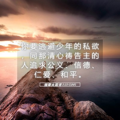Picture 05 - 提 摩 太 后 书 2:22 CUVS - 你 要 逃 避 少 年 的 私 欲 ， 同 那 - Bible Verse Picture