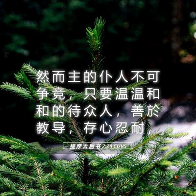 Picture 05 - 提 摩 太 后 书 2:24 CUVS - 然 而 主 的 仆 人 不 可 争 竞 ， 只 - Bible Verse Picture
