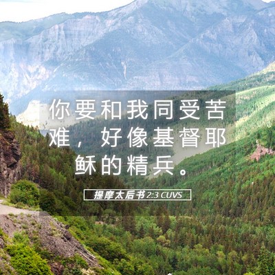 Picture 05 - 提 摩 太 后 书 2:3 CUVS - 你 要 和 我 同 受 苦 难 ， 好 像 基 - Bible Verse Picture