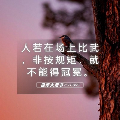 Picture 05 - 提 摩 太 后 书 2:5 CUVS - 人 若 在 场 上 比 武 ， 非 按 规 矩 - Bible Verse Picture