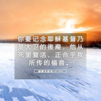 Picture 05 - 提 摩 太 后 书 2:8 CUVS - 你 要 记 念 耶 稣 基 督 乃 是 大 卫 - Bible Verse Picture