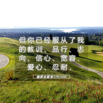 Picture 05 - 提 摩 太 后 书 3:10 CUVS - 但 你 已 经 服 从 了 我 的 教 训 、 - Bible Verse Picture