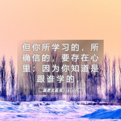 Picture 05 - 提 摩 太 后 书 3:14 CUVS - 但 你 所 学 习 的 ， 所 确 信 的 ， - Bible Verse Picture