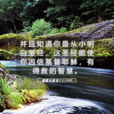 Picture 05 - 提 摩 太 后 书 3:15 CUVS - 并 且 知 道 你 是 从 小 明 白 圣 经 - Bible Verse Picture