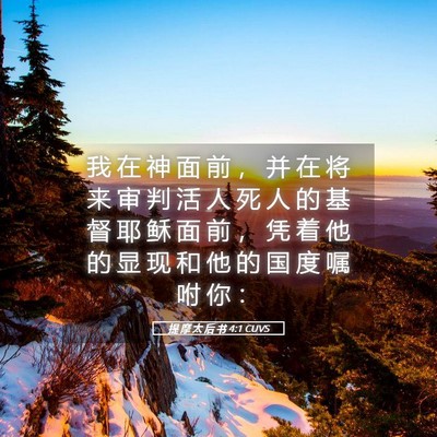Picture 05 - 提 摩 太 后 书 4:1 CUVS - 我 在 神 面 前 ， 并 在 将 来 审 判 - Bible Verse Picture