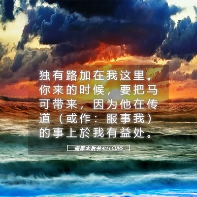 Picture 05 - 提 摩 太 后 书 4:11 CUVS - 独 有 路 加 在 我 这 里 。 你 来 的 - Bible Verse Picture