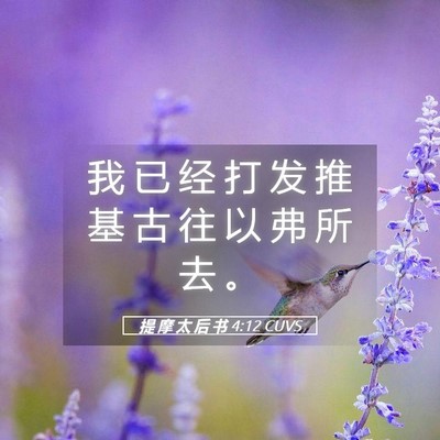 Picture 05 - 提 摩 太 后 书 4:12 CUVS - 我 已 经 打 发 推 基 古 往 以 弗 所 - Bible Verse Picture