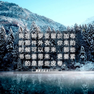 Picture 05 - 提 摩 太 后 书 4:13 CUVS - 我 在 特 罗 亚 留 於 加 布 的 那 件 - Bible Verse Picture