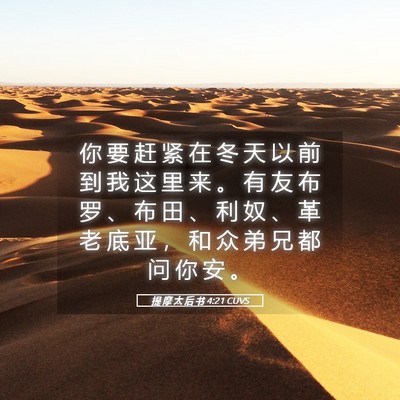 Picture 05 - 提 摩 太 后 书 4:21 CUVS - 你 要 赶 紧 在 冬 天 以 前 到 我 这 - Bible Verse Picture
