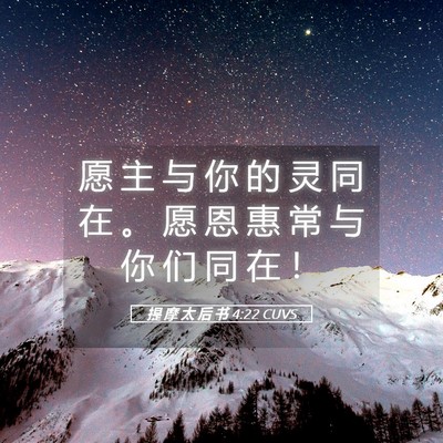 Picture 05 - 提 摩 太 后 书 4:22 CUVS - 愿 主 与 你 的 灵 同 在 。 愿 恩 惠 - Bible Verse Picture