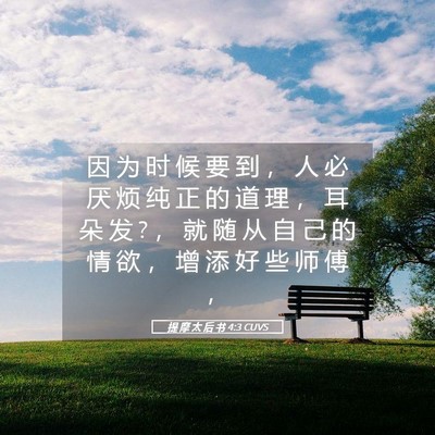 Picture 05 - 提 摩 太 后 书 4:3 CUVS - 因 为 时 候 要 到 ， 人 必 厌 烦 纯 - Bible Verse Picture