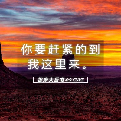 Picture 05 - 提 摩 太 后 书 4:9 CUVS - 你 要 赶 紧 的 到 我 这 里 来 - Bible Verse Picture
