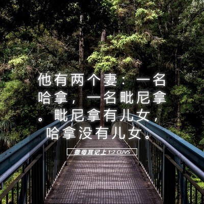 Picture 05 - 撒 母 耳 记 上 1:2 CUVS - 他 有 两 个 妻 ： 一 名 哈 拿 ， 一 - Bible Verse Picture