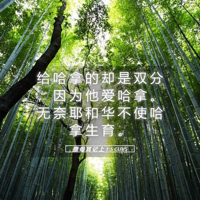 Picture 05 - 撒 母 耳 记 上 1:5 CUVS - 给 哈 拿 的 却 是 双 分 ， 因 为 他 - Bible Verse Picture