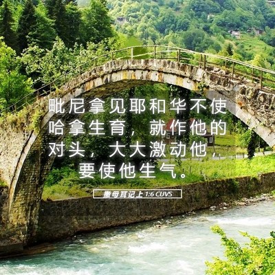 Picture 05 - 撒 母 耳 记 上 1:6 CUVS - 毗 尼 拿 见 耶 和 华 不 使 哈 拿 生 - Bible Verse Picture