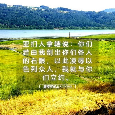 Picture 05 - 撒 母 耳 记 上 11:2 CUVS - 亚 扪 人 拿 辖 说 ： 你 们 若 由 我 - Bible Verse Picture