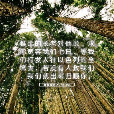 Picture 05 - 撒 母 耳 记 上 11:3 CUVS - 雅 比 的 长 老 对 他 说 ： 求 你 宽 - Bible Verse Picture