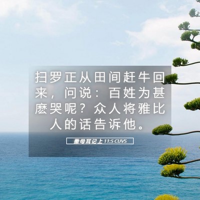 Picture 05 - 撒 母 耳 记 上 11:5 CUVS - 扫 罗 正 从 田 间 赶 牛 回 来 ， 问 - Bible Verse Picture