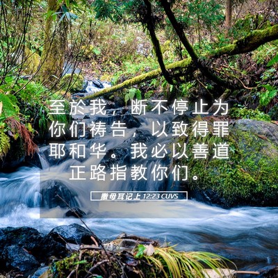 Picture 05 - 撒 母 耳 记 上 12:23 CUVS - 至 於 我 ， 断 不 停 止 为 你 们 祷 - Bible Verse Picture