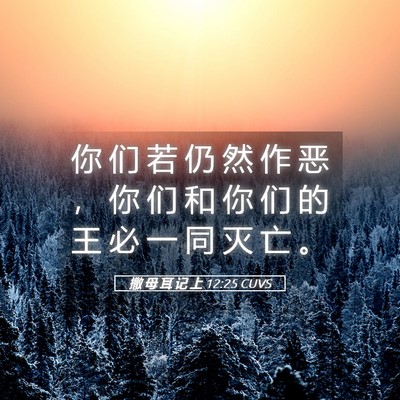 Picture 05 - 撒 母 耳 记 上 12:25 CUVS - 你 们 若 仍 然 作 恶 ， 你 们 和 你 - Bible Verse Picture