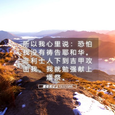Picture 05 - 撒 母 耳 记 上 13:12 CUVS - 所 以 我 心 里 说 ： 恐 怕 我 没 有 - Bible Verse Picture