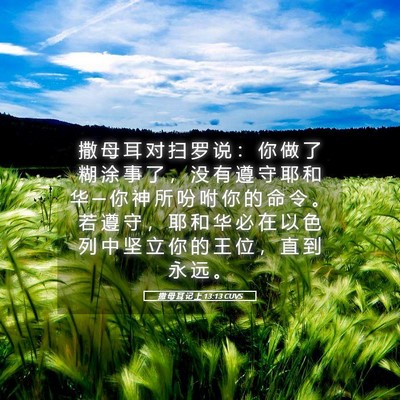 Picture 05 - 撒 母 耳 记 上 13:13 CUVS - 撒 母 耳 对 扫 罗 说 ： 你 做 了 糊 - Bible Verse Picture