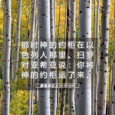 Picture 05 - 撒 母 耳 记 上 14:18 CUVS - 那 时 神 的 约 柜 在 以 色 列 人 那 - Bible Verse Picture