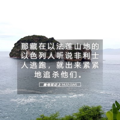 Picture 05 - 撒 母 耳 记 上 14:22 CUVS - 那 藏 在 以 法 莲 山 地 的 以 色 列 - Bible Verse Picture