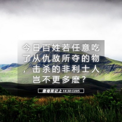 Picture 05 - 撒 母 耳 记 上 14:30 CUVS - 今 日 百 姓 若 任 意 吃 了 从 仇 敌 - Bible Verse Picture